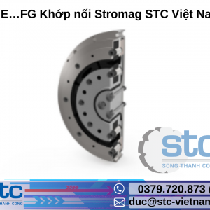 IGE…FG Khớp nối Stromag STC Việt Nam