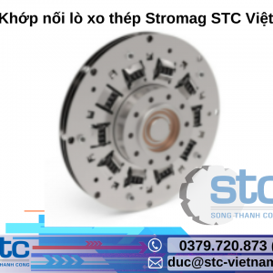 SSC Khớp nối lò xo thép Stromag STC Việt Nam