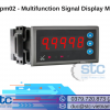 Eyc Dpm02_Multifunction Signal Display Monitor_Eyc Viet Nam_Stc Viet Nam