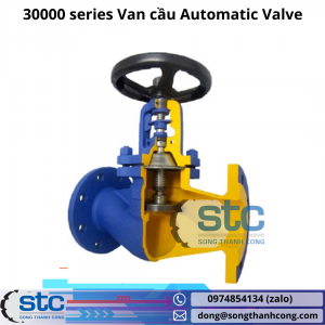 30000 series Van cầu Automatic Valve