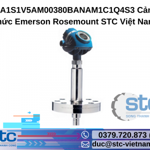 5301HA1S1V5AM00380BANAM1C1Q4S3 Cảm biến mức Emerson Rosemount STC Việt Nam