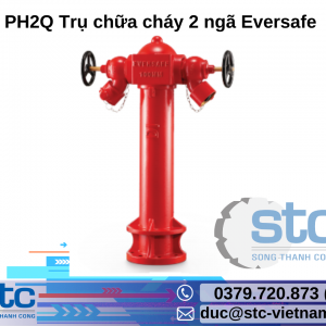 PH2Q Trụ chữa cháy 2 ngã Eversafe STC Việt Nam