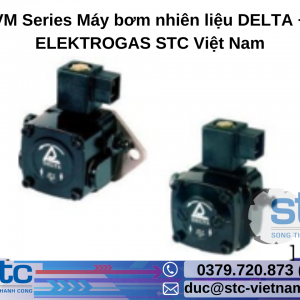 VM Series Máy bơm nhiên liệu DELTA + ELEKTROGAS STC Việt Nam