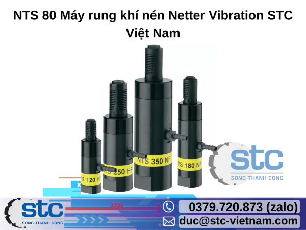 NTS 80 Máy rung khí nén Netter Vibration STC Việt Nam