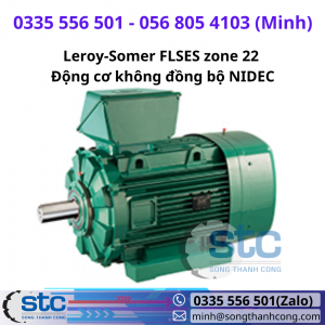 Leroy-Somer FLSES zone 22 Động cơ không đồng bộ NIDEC