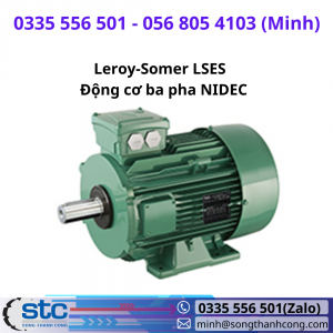 Leroy-Somer LSES Động cơ ba pha NIDEC