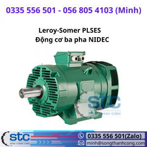Leroy-Somer PLSES Động cơ ba pha NIDEC