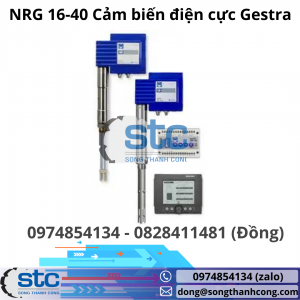 NRG 16-40 Cảm biến điện cực Gestra