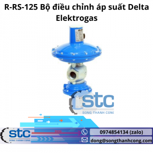 R-RS-125 Bộ điều chỉnh áp suất Delta Elektrogas