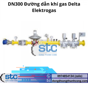 DN300 Đường dẫn khí gas Delta Elektrogas