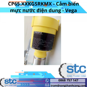 CP65.XXKGSRKMX Cảm biến mực nước điện dung Vega