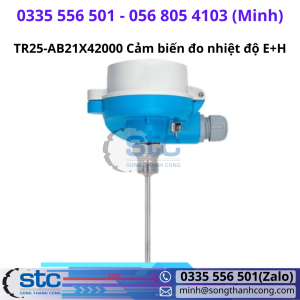TR25-AB21X42000 Cảm biến đo nhiệt độ E+H