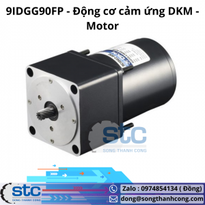 9IDGG90FP Động cơ cảm ứng DKM Motor