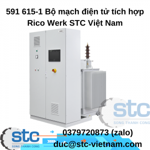 591 615-1 Bộ mạch điện tử tích hợp Rico Werk STC Việt Nam
