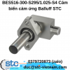 BES516-300-S295/1.025-S4 Cảm biến cảm ứng Balluff STC Việt Nam