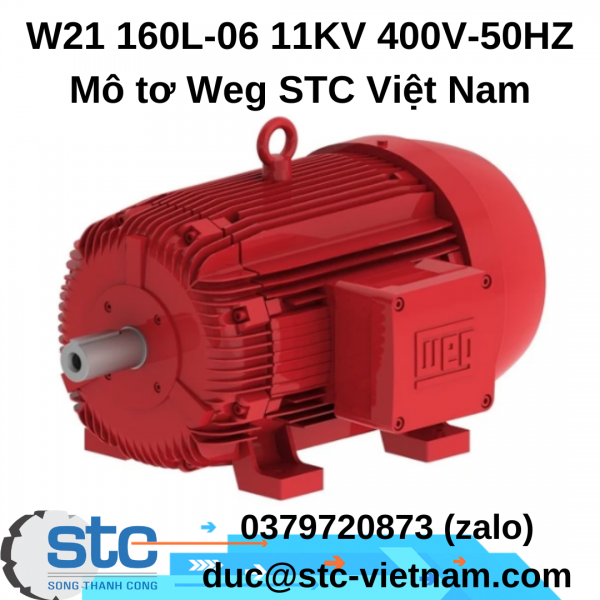 W21 160L-06 11KV 400V-50HZ Mô tơ Weg STC Việt Nam