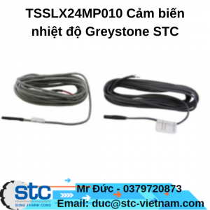 TSSLX24MP010 Cảm biến nhiệt độ Greystone STC Việt Nam