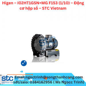 Higen – I02HT1GSN+MG F153 (1/10) – Động cơ hộp số – STC Vietnam