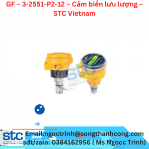 GF – 3-2551-P2-12 – Cảm biến lưu lượng – STC Vietnam
