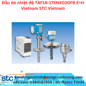 Đầu dò nhiệt độ TAF16-17XNX030FB E+H Vietnam STC Vietnam