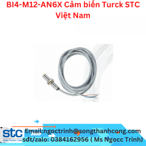 BI4-M12-AN6X Cảm biến Turck STC Việt Nam