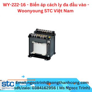 WY-222-16 - Biến áp cách ly đa đầu vào - Woonyoung STC Việt Nam 