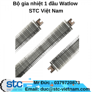 Bộ gia nhiệt 1 đầu Watlow STC Việt Nam