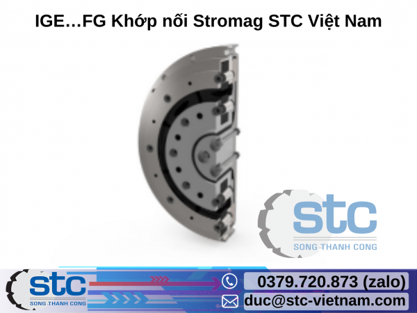 IGE…FG Khớp nối Stromag STC Việt Nam