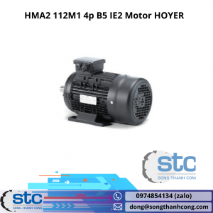 HMA2 112M1 4p B5 IE2 Motor HOYER,