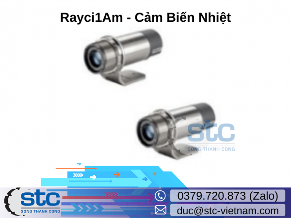 Rayci1Am Cảm Biến Nhiệt 12-24Vdc Raytek(Fluke) Vietnam STC Vietnam