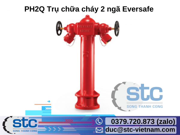 PH2Q Trụ chữa cháy 2 ngã Eversafe STC Việt Nam