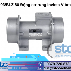BLZ 03/BLZ 80 Động cơ rung Invicta Vibrators STC Việt Nam