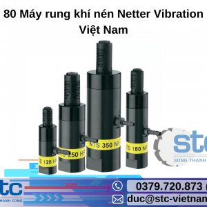 NTS 80 Máy rung khí nén Netter Vibration STC Việt Nam