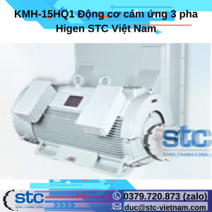 KMH-15HQ1 Động cơ cảm ứng 3 pha Higen STC Việt Nam