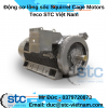 Động cơ lồng sóc Squirrel Cage Motors Teco STC Việt Nam