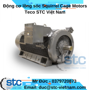 Động cơ lồng sóc Squirrel Cage Motors Teco STC Việt Nam
