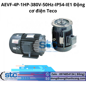 AEVF-4P-1HP-380V-50Hz-IP54-IE1 Động cơ điện Teco
