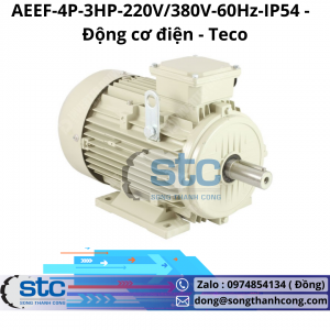 AEEF-4P-3HP-220V/380V-60Hz-IP54 Động cơ điện Teco
