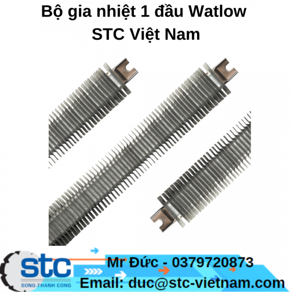 Bộ gia nhiệt 1 đầu Watlow STC Việt Nam
